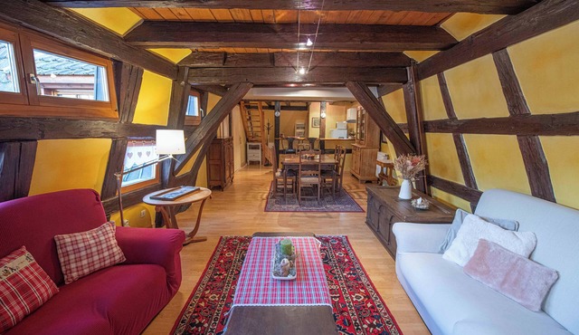 LE REPAIRE DES LUTINS Charming Duplex (6 persons) quiet in Riquewihr