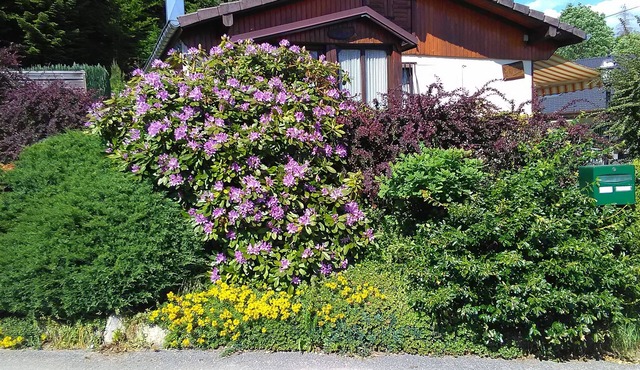 Le Reposion, Chalet type house