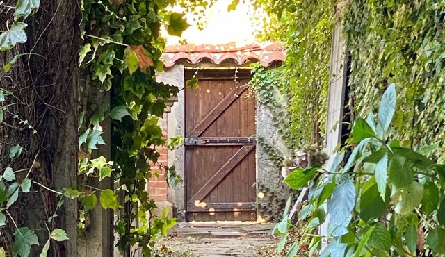 Le Rez de Jardin Albi