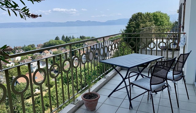 Le Rive Gauche Face au Léman