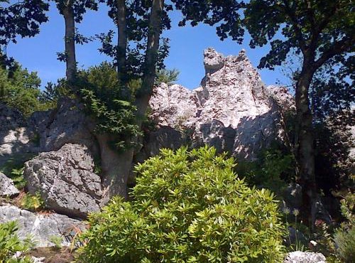 Le Rocher du Samoyède in Dirinon