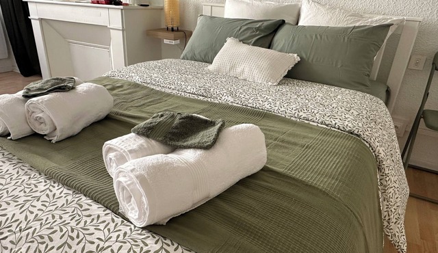 Le Sérénité - In the heart of the Thermal Baths - Les Instants de Dax