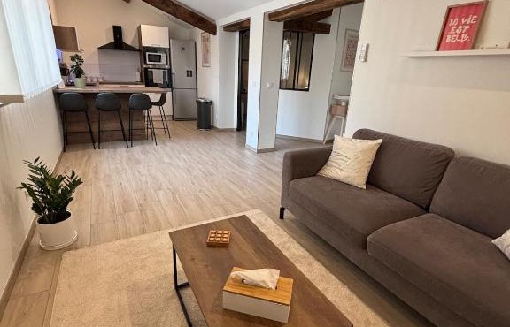Le Saint Pierre, T2 chic et rénové au coeur du centre ville