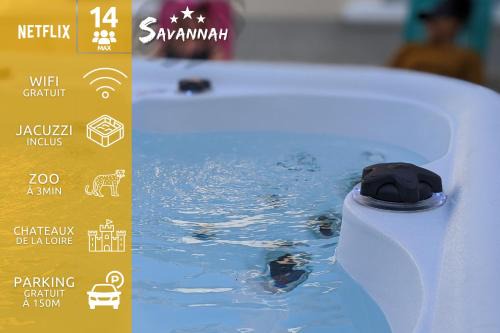 'Le Savannah' - Jacuzzi - A 3min du Zoo de Beauval