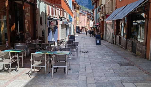le savoyard