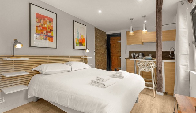 Le Studio des Antiquaires - Studio climatisé à Toulouse