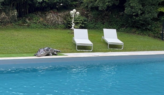 Le Studio du Castel Silence Avec vue sur le Parc