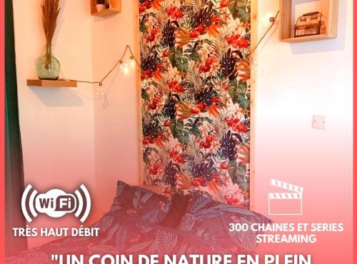 Le studio Naturel