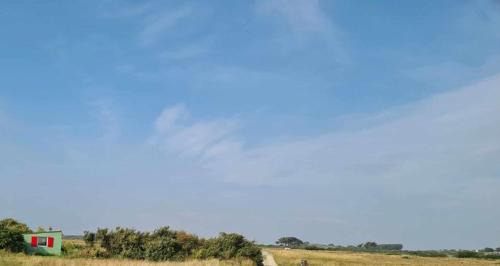 Le Terrier sur la dune de Tronoën