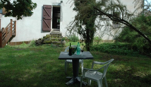 Le Tilleul de Vaour - VAOUR