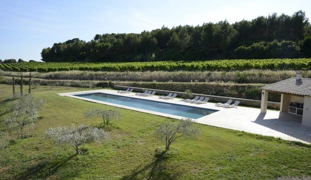 LE TILLEUL - VILLEVEYRAC