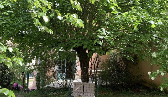 Le Tilouri - Self-catering accommodation for 9 people