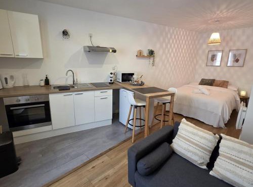Le Timon - large studio avec Wi-Fi
