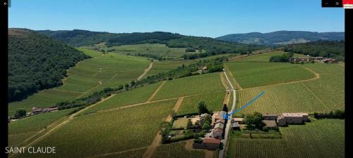 Le Tinailler Gite d'exception au coeur des Vignes- Deux suites parentales - Amazing place