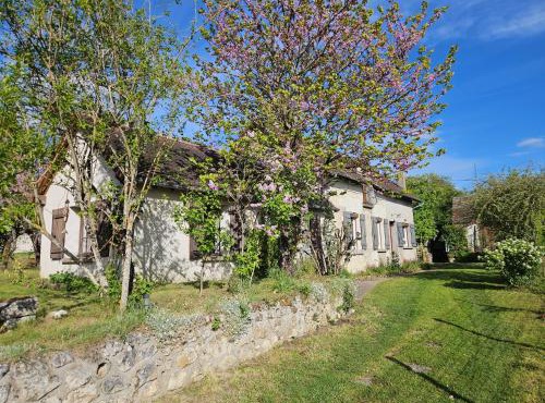 Le vallon des vignes