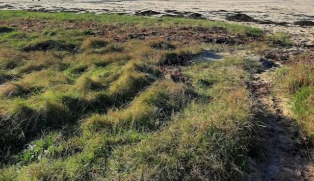 Le Vent D'ouest - Un Cocon de Calme au Vert