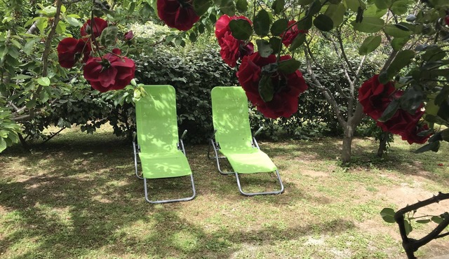 "Le verger": Nice 1-bedroom apartment (60 m²), quiet location, 2 steps from the center and the beaches