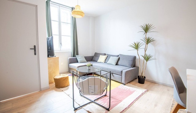 Le Vert – Appartement rénové cœur Amboise