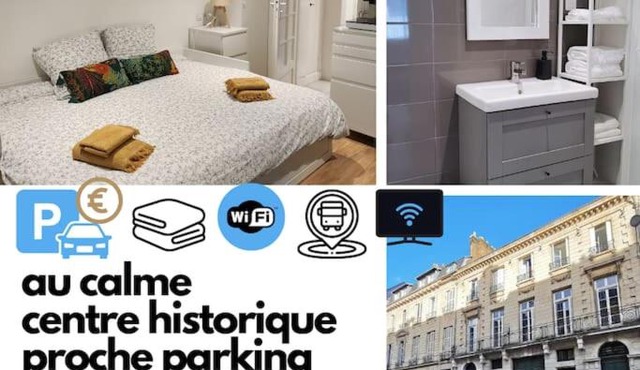 Le vieux marché II ✧ Cosy et Central