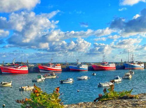 Le Vieux Port - Vue mer