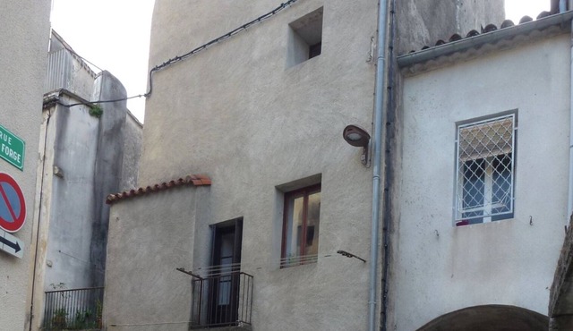 Le Vigan ~ The heart of the Southern Cevennes National Park