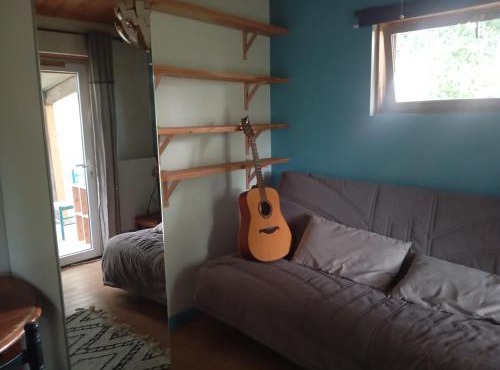 Le voyage de la salamandre