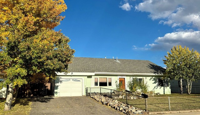 Leadville Lodge - Cozy 4 Bedroom w/Views