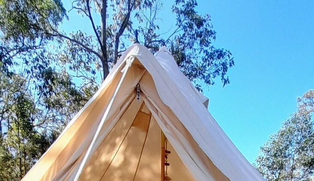 Leave the rat race & energise yourself in nature in our luxurious Glamping Yurt!