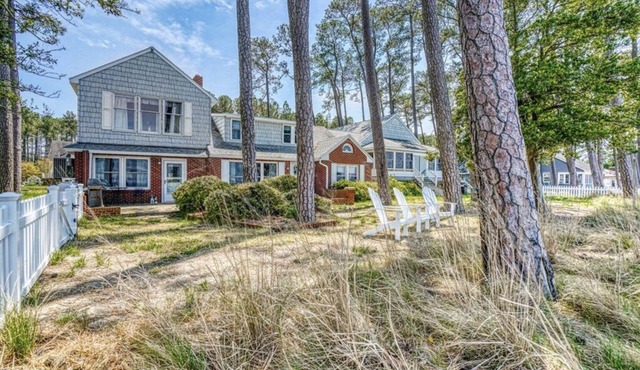 Leave Your Paw Prints by the Bay