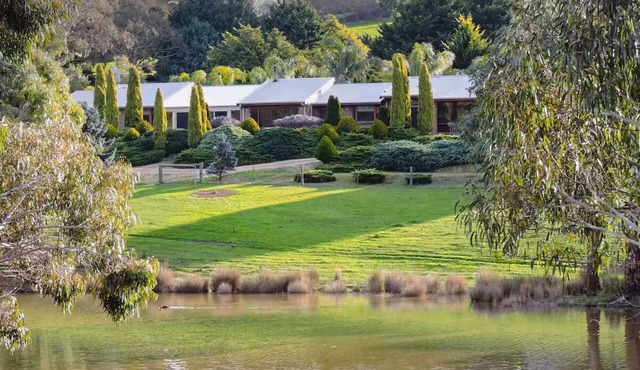 Leawarra stays in the farm - Fleurieu Peninsula