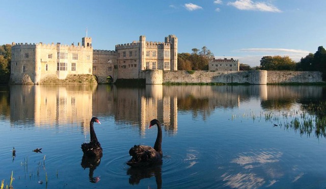 Leeds Castle Stable Courtyard Bed and Breakfast