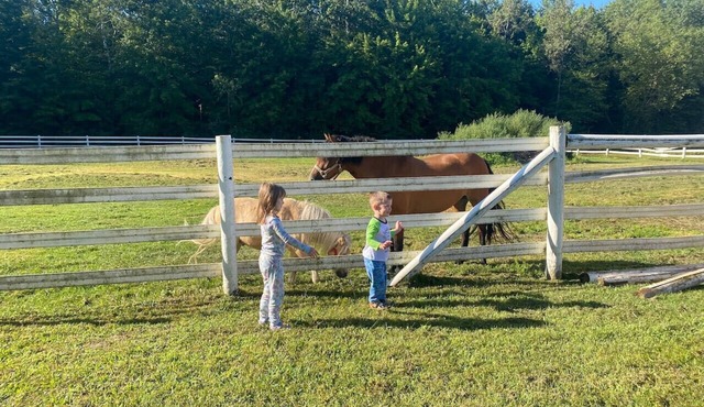 Legacy Farm Equestrian And Waterfront Retreat