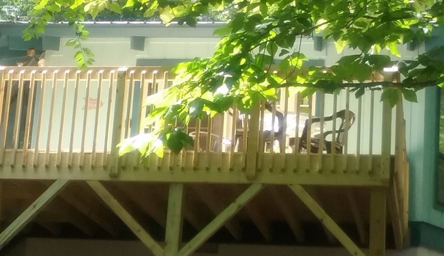 Legal Beech Bum Mountain Legal Retreat