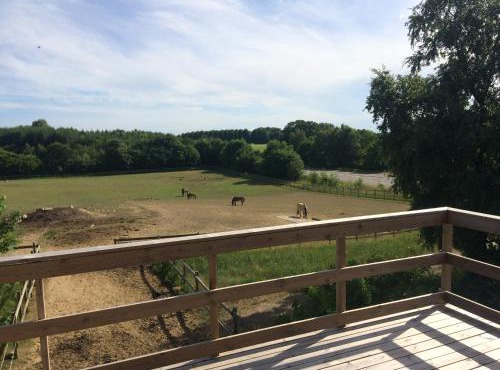 Lejlighed på landet, NO Smoking