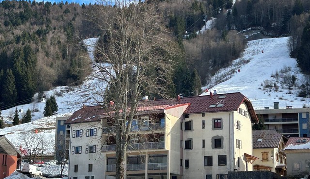 LELEXINE APARTMENT AT THE FOOT OF THE MONTS JURA SLOPES