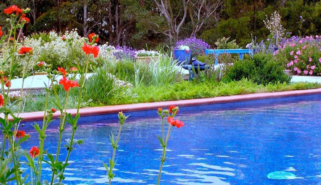 Lemonade Creek Cottages