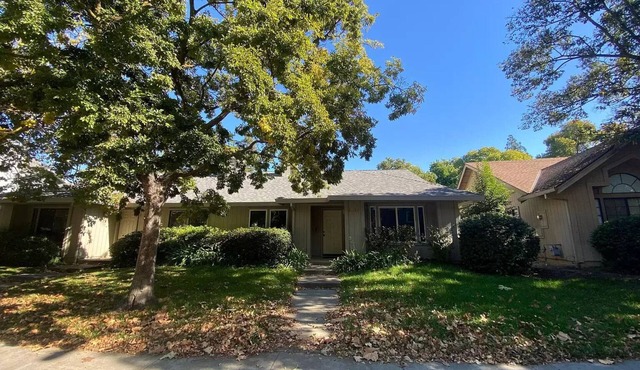 Lemontree House: Chic Davis 3BR Gem near UC Davis