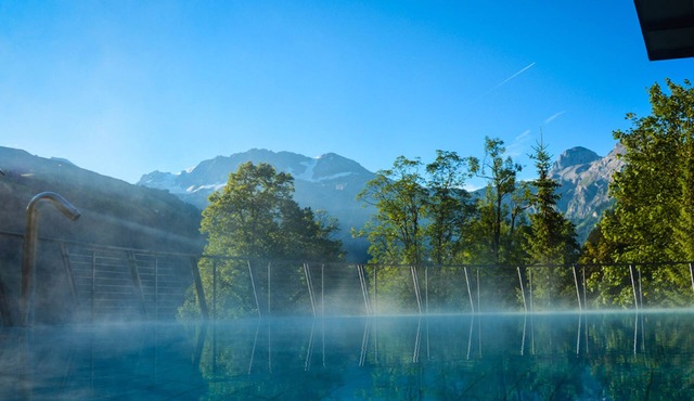 Lenkerhof Gourmet Spa Resort