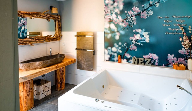 Leon Garage - Gîte of 2 to 4 people with SPA