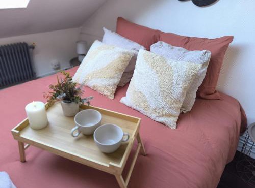 LeRelaisdOdile - Suite Studios Confort - Idéal PRO & Couple - LILLE VAUBAN