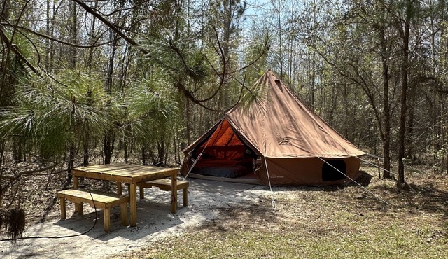 Leroys Lounge XL Bell tent sleep 8 FARM therapy mini horse, cows, goats & chicks