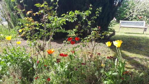 Les écureuils bourguignons