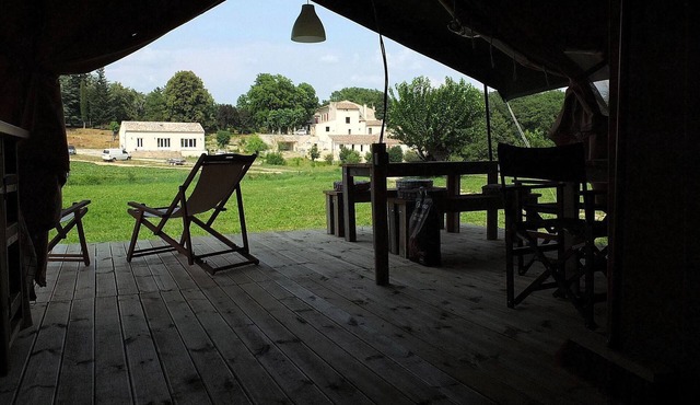 Les Ânes de Forcalquier