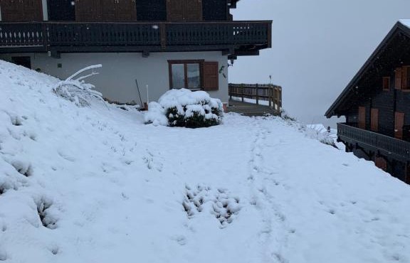 Les Œillets, Les portes du Soleil