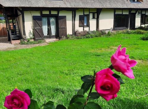 Les 2 chaumières avec piscine