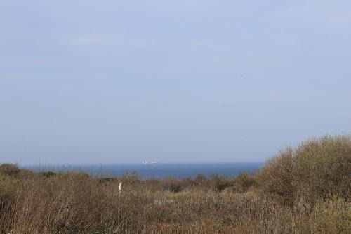 Les 4 oies - Wimereux