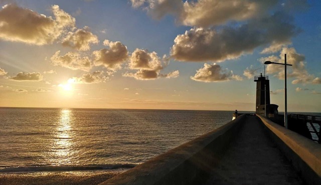 Les 4 seasons, quiet apartment with terrace and garden