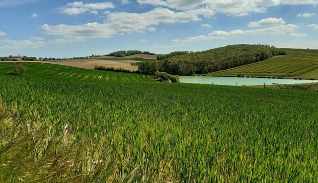 Les Acacias d'En Cassé