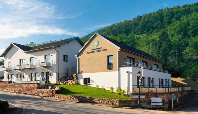 Les Appartements Husseren Collections - Proche Colmar - Eguisheim