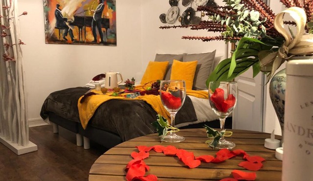 LES APPART'S DES DEMOISELLES DE ROCHEFORT